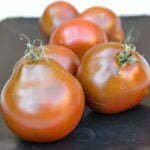 Tomate Black Pear