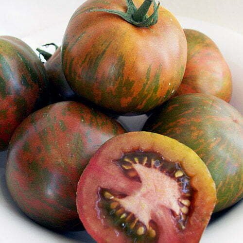 Tomate Black Zebra