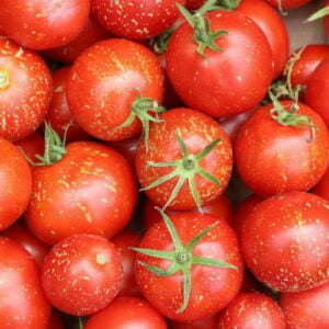 Tomate Cascade de Lave