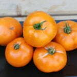 Tomate Tangerine