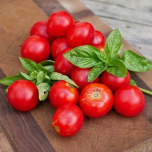 Tomate Glacier