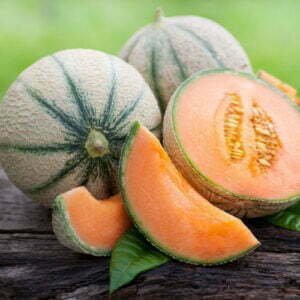Melon Charentais