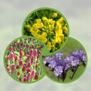 Mélange Engrais Verts