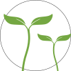 Logo de la Graine Libre
