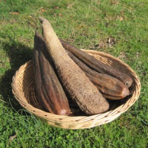 Luffa