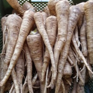 Panais Aromata