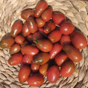 Tomate Cocktail Prune Noire