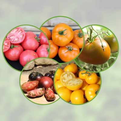 Mélange-tomates2 Mélange-tomates2