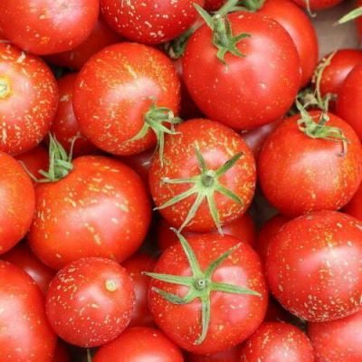 Tomate-cascade-of-lava Tomate-cascade-of-lava