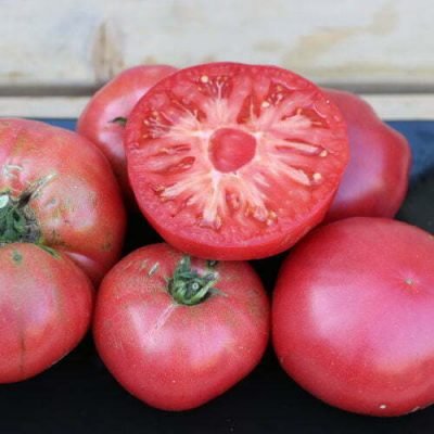 Tomate Caspienne Rose Tomate Caspienne Rose