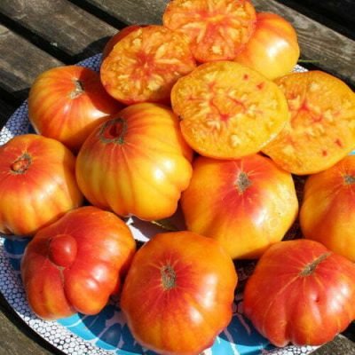 Tomate German Gold Tomate German Gold