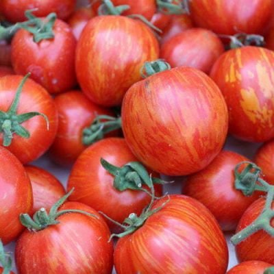 Tomate Tigarella Bicolore Tomate Tigarella Bicolore
