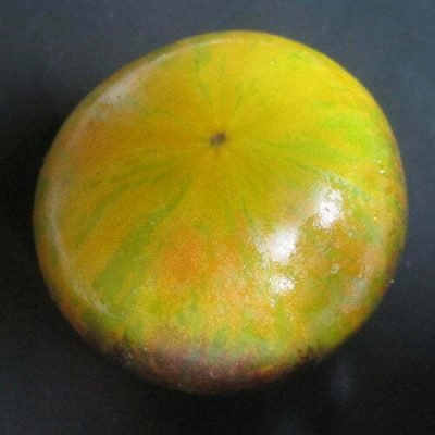 Tomate Xanadoo Déesse Verte Tomate Xanadoo Déesse Verte